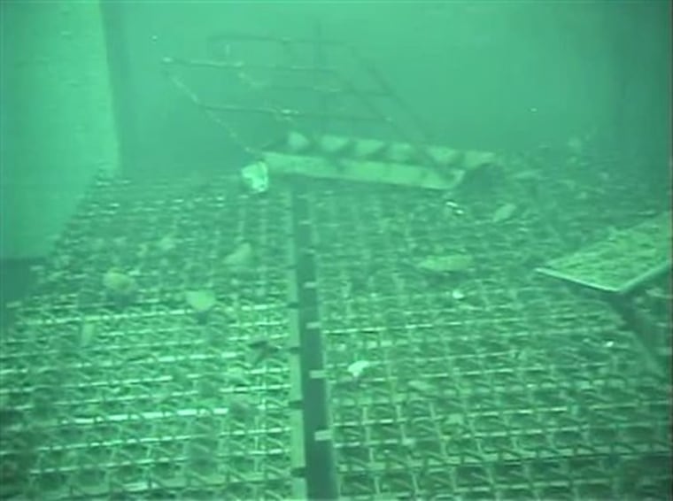 The spent fuel storage pool of the Unit 4 reactor building at the crippled Fukushima Dai-ichi nuclear power plant in northeastern Japan is seen on May 7, 2011.